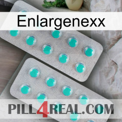 Enlargenexx 29